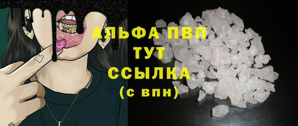 стаф Липки