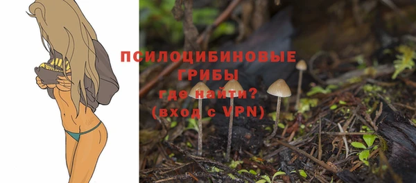 стаф Липки