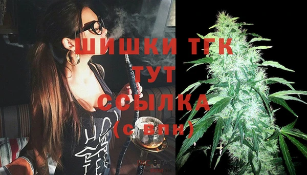 стаф Липки
